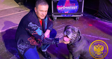 Первая собака-финалист российского телешоу талантов