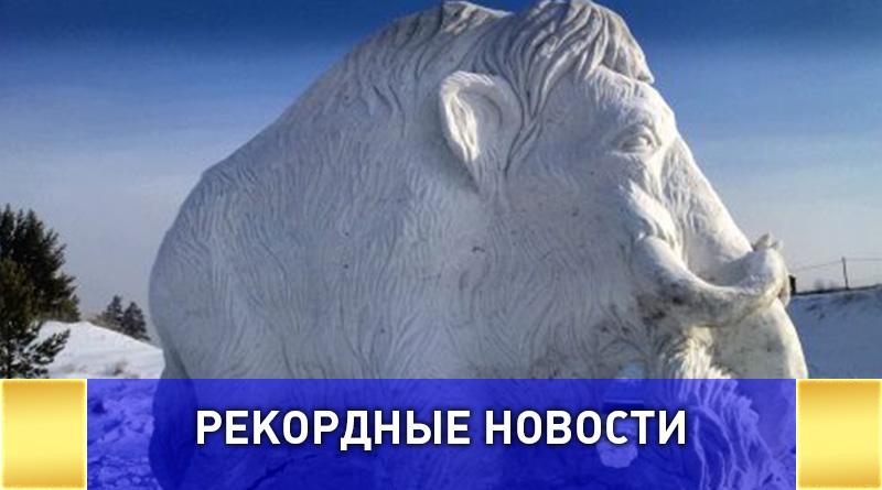 Первый южный фестиваль резьбы по снегу