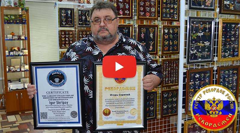 Самая большая коллекция брошей бабочек и стрекоз